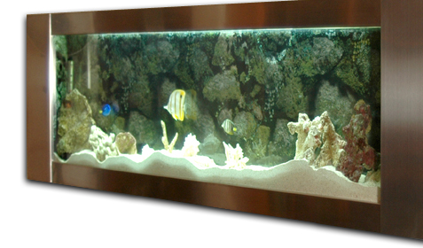 Aqua Bella 41" Wall-Mounted Aquariums - With Aqua Bella's wall-mounted aquarium line, anyone can include a beautiful fresh or saltwater wall mounted aquariums into a business, house, condo, apartment, yacht, or motor home. While most aquariums are maintenance prone, Aqua Bella has a patented organic formula for continued clean water to make the aquarium experience truly enjoyable and maintenance free without hassle.