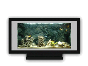 Aqua Bella Wall-Mounted Aquariums (424)