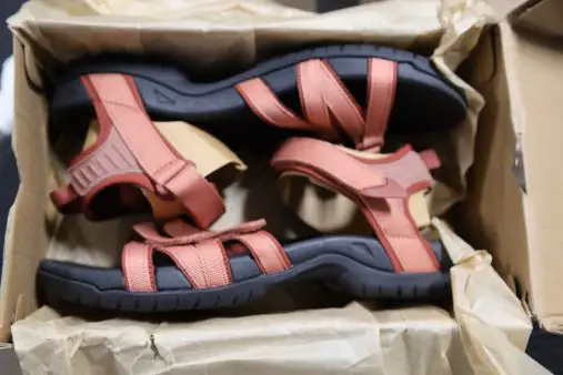 ZAP Branded Shoes, Clothing and Accessory Lots