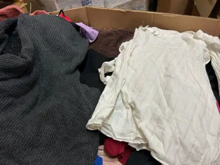 Surtido de Ropa y Accesorios