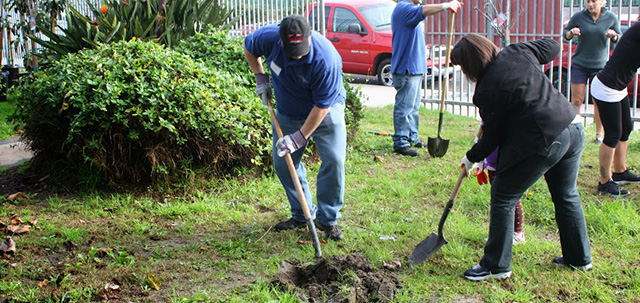 Via Trading Service Day (2014) 3