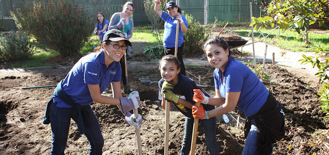 Via Trading Service Day (2014) 4
