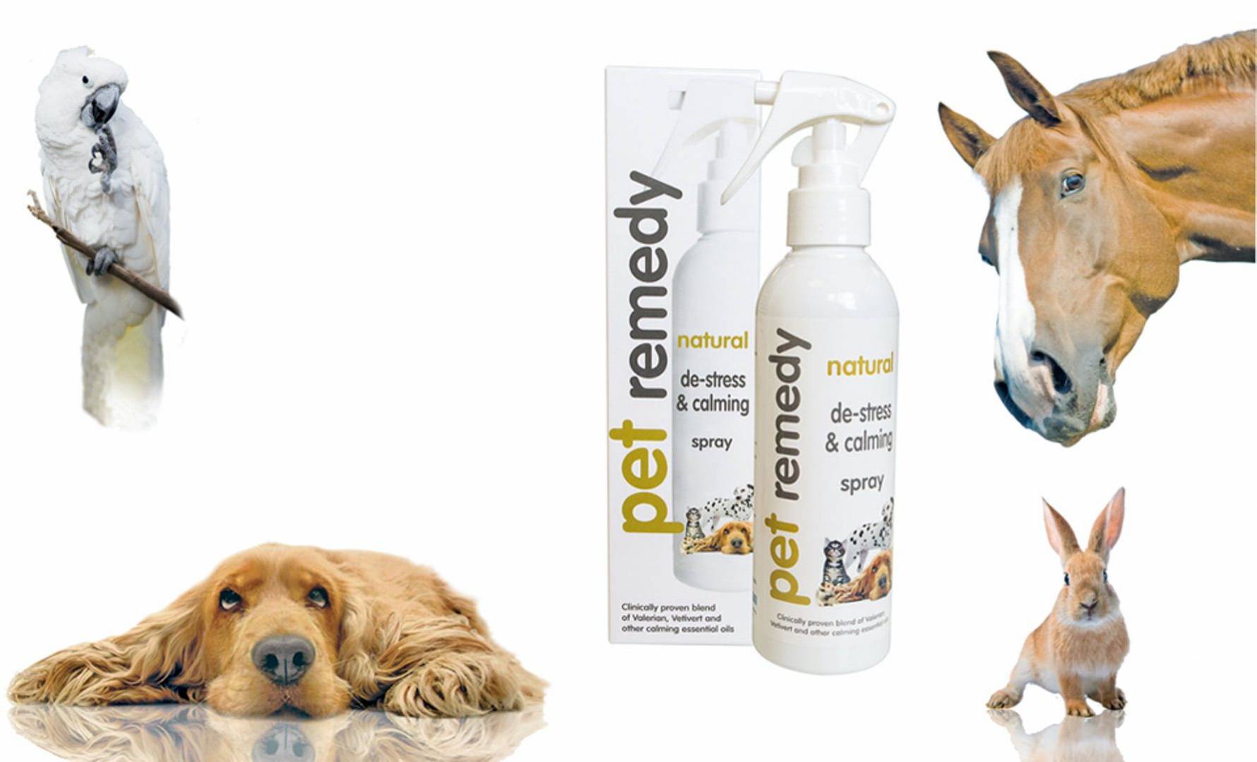 Via Trading Liquidation of Natural Pet Calming Product