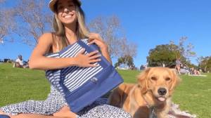 img-product-New Overstock Dog Travel Bags & More!
