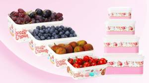 img-product-New Overstock Manifested Plastic Food Container Sets