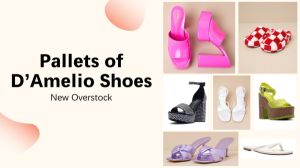 img-product-New Overstock Unmanifested Pallets of D'Amelio Shoes 
